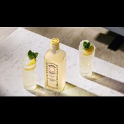 Secondery bombay-citron-presse-lemon-gin--life-3.jpg