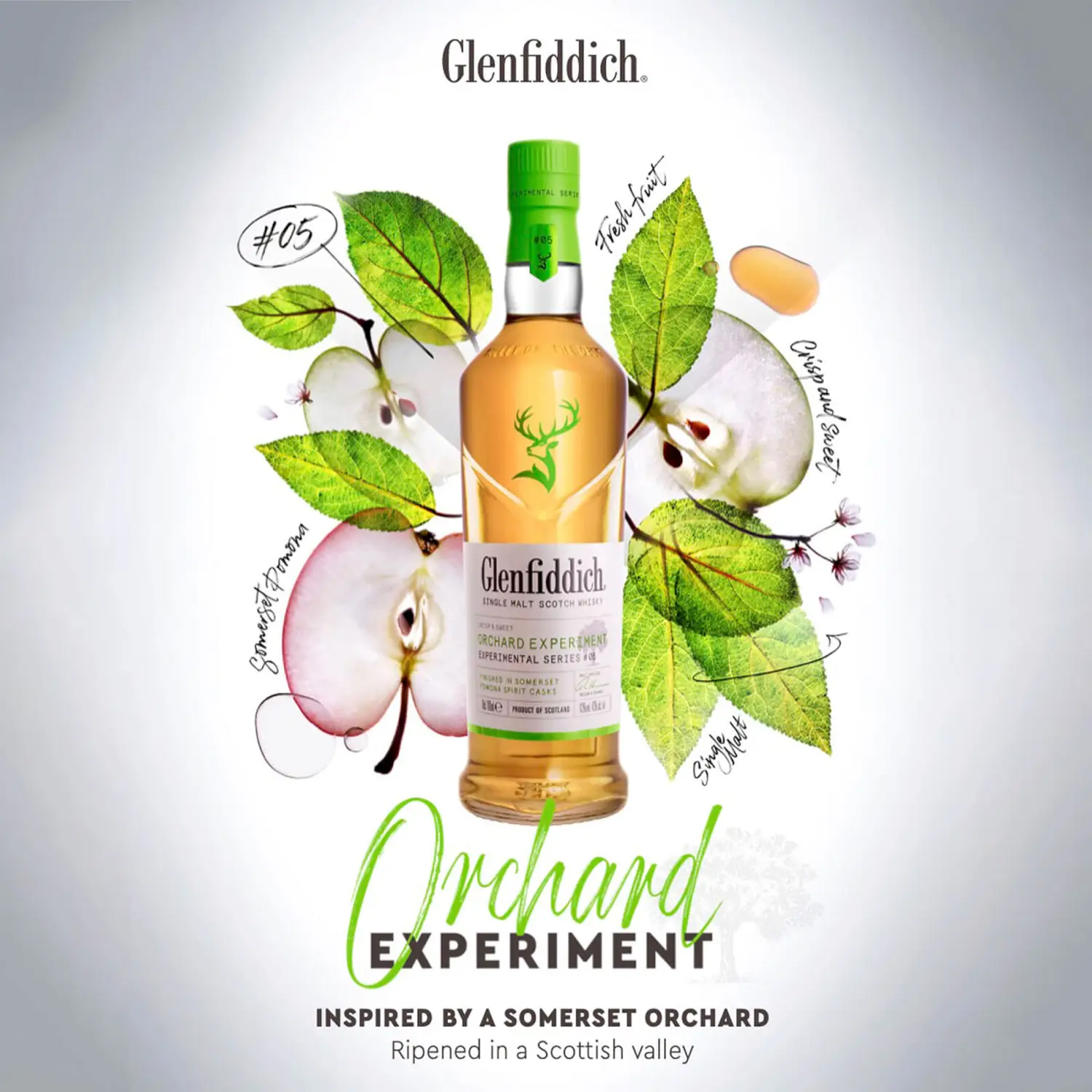 glenfiddich 18 5 clipart