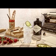 Secondery rl_hendricks_gin_and_tonic_w2_or-text_1480x1024.jpg