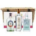 Buy & Send Gin Selection Family Hamper