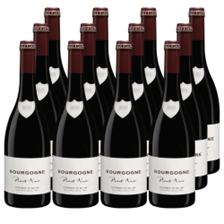 Buy & Send Case of 12 Vignerons de Bel Air Bourgogne Pinot Noir 75cl Red Wine