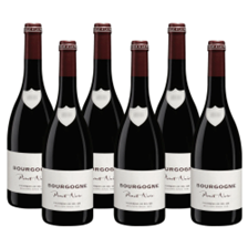 Buy & Send Case of 6 Vignerons de Bel Air Bourgogne Pinot Noir 75cl Red Wine