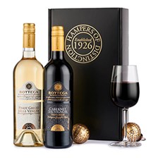 Buy & Send Italian Wine Duo Gift Box