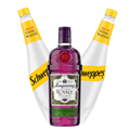 Buy & Send Tanqueray Blackcurrant Royale Gin 70cl with Tonic Mixer