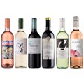 Buy & Send Vegan Wine Case of 6