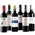 Buy & Send Winter Warmer Red Wine Case of 6